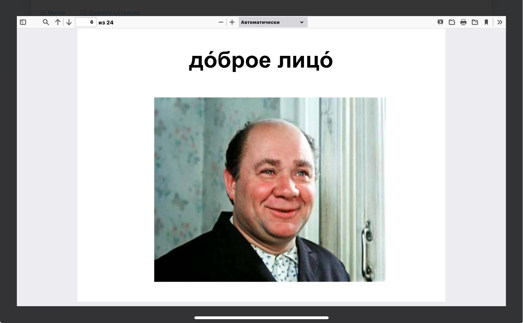 Внешность и характер человека