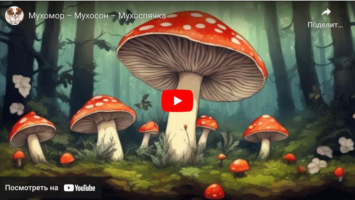 Мухомор-Мухосон-Мухоспячка, сказку читает автор